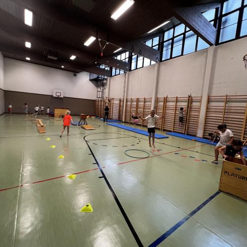Sport