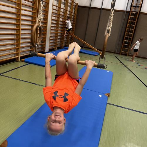 Sport