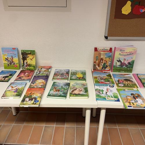 Bücherausstellung Karin
