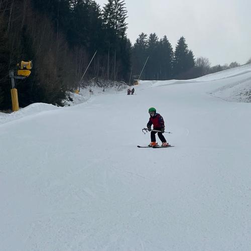 Ski1