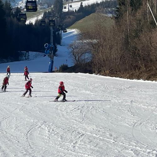Ski1