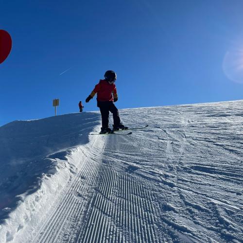 Ski1