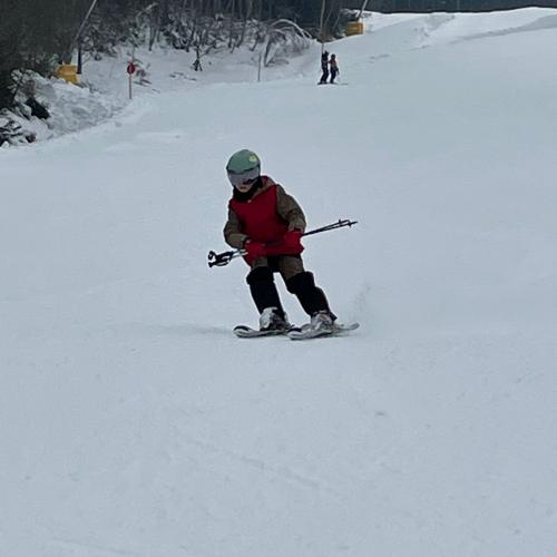 Ski1