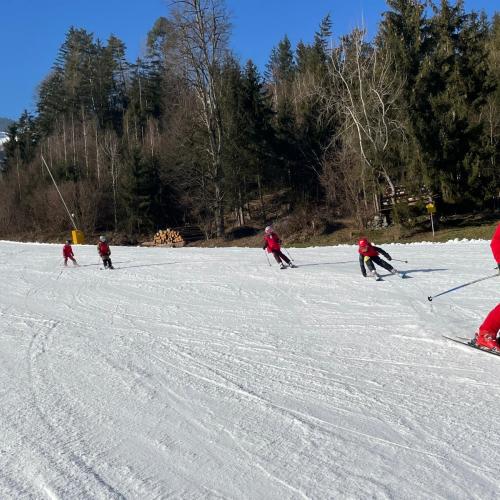 Ski1