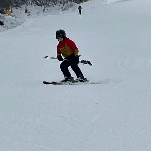 Ski1