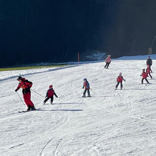 Ski1