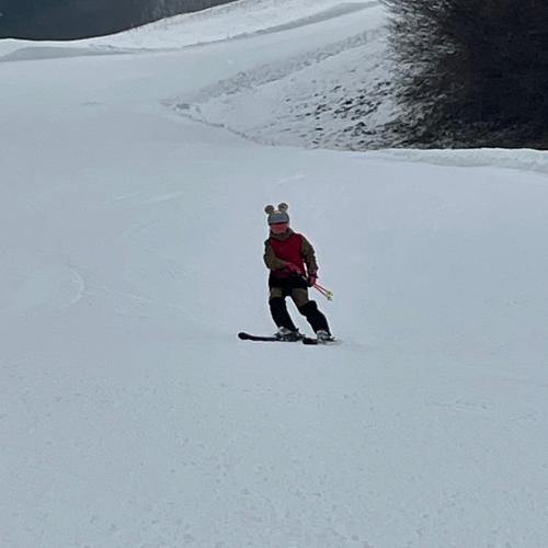 Ski1
