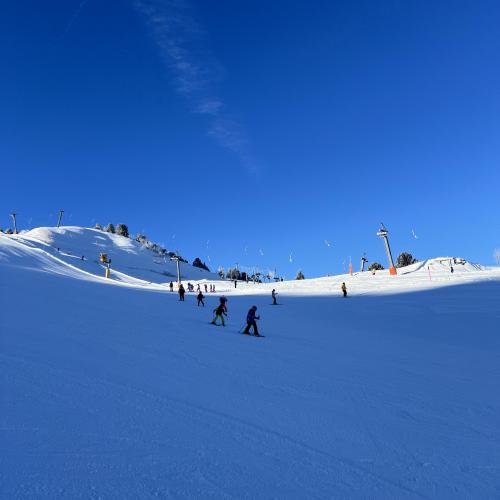 Ski1