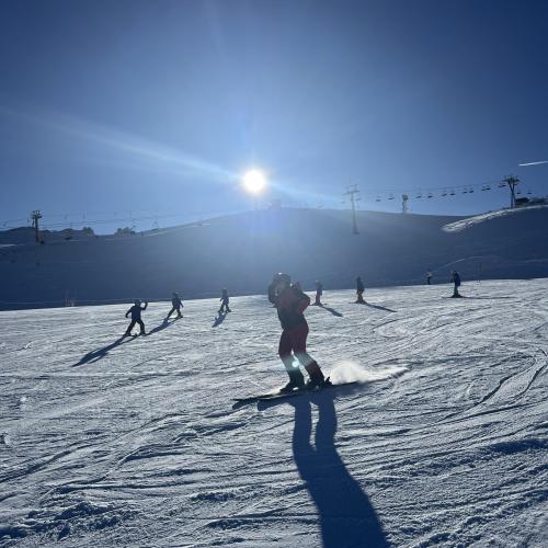 Ski1