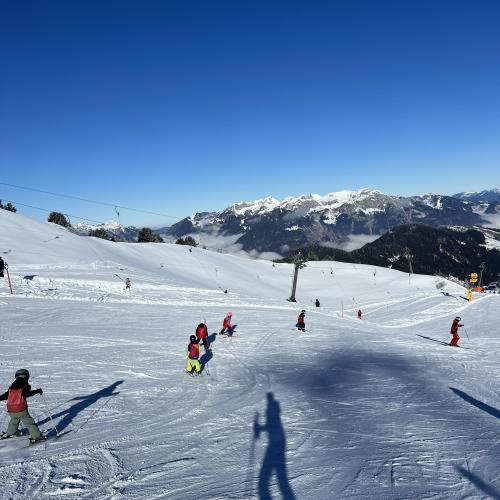 Ski1