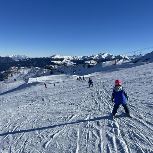 Ski1