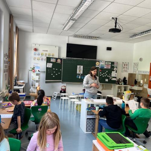 Avomed Vortrag Wasser