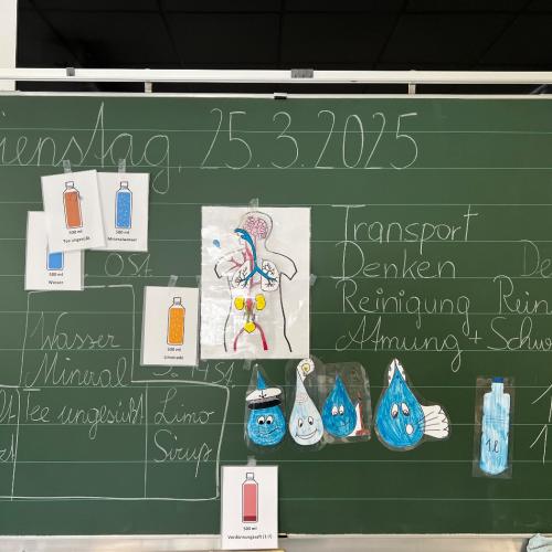 Avomed Vortrag Wasser