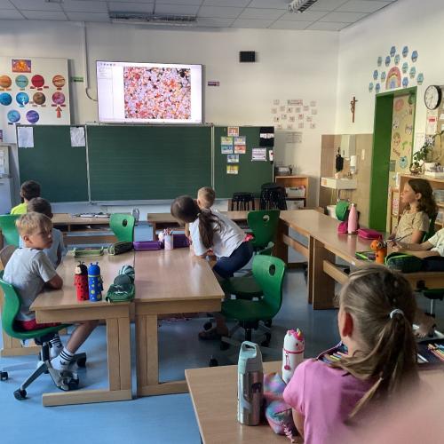 Forschen 1c
