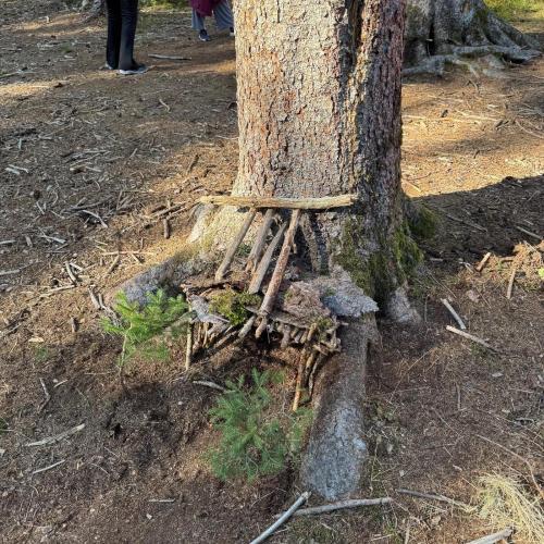 Wald5